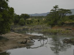 Western_Corridor_(Kirawira)2003-080